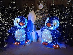  kerstmarkt valkenburg fans